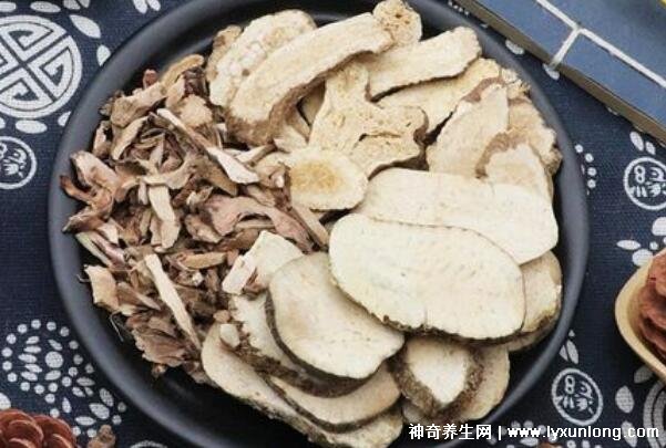 喝澤瀉白術一個月瘦多少斤，10斤起步適合肥胖癥(附減肥配方)