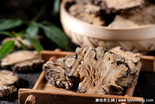 十大消結散結中藥排行，金錢草/三七/木通/蒲公英(最厲害的中藥)