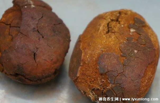 牛黃是什么東西多少錢一克，牛膽囊的膽結石500元/克(圖片)