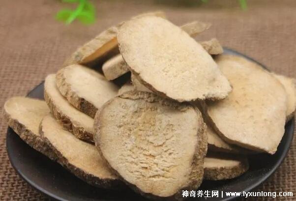 喝澤瀉白術一個月瘦多少斤，10斤起步適合肥胖癥(附減肥配方)