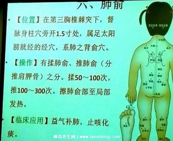 穴位肺俞的準確位置圖片和功效，2個找肺俞最笨方法(止咳化痰)