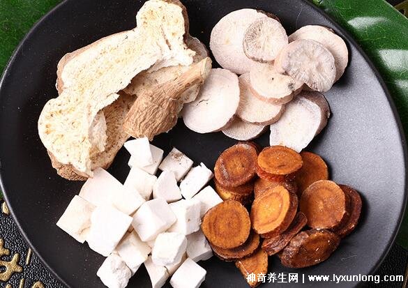 喝澤瀉白術一個月瘦多少斤，10斤起步適合肥胖癥(附減肥配方)