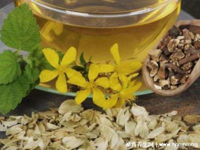 黃芪15g白術10g防風10g，可用于治療氣虛感冒(附泡茶方法)