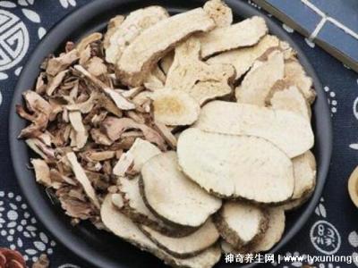 喝澤瀉白術(shù)一個月瘦多少斤，10斤起步適合肥胖癥(附減肥配方)
