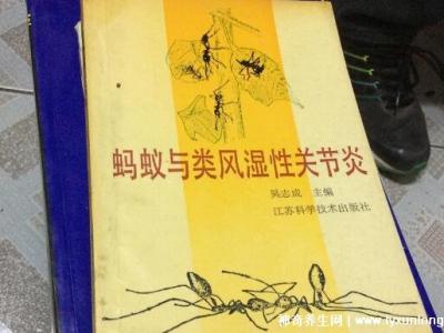 黑螞蟻治療類風濕配方，螞蟻消痹湯(類風濕性關節炎的克星)