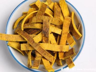 黃柏和蒼術(shù)泡水喝的功效與禁忌，7種人不宜吃黃柏和蒼術(shù)