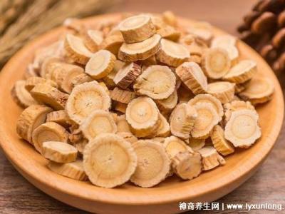 黃芪為什么下午5點后不能喝，易上火/影響肺功能(附服用時間)