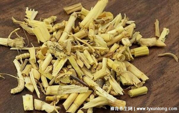 白茅根治好了我的尿毒癥，利尿排毒/恢復腎功能(附真實案例)