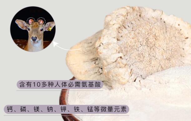 鹿角帽粉的作用與功效禁忌，溫補腎陽/活血/通乳(副作用)