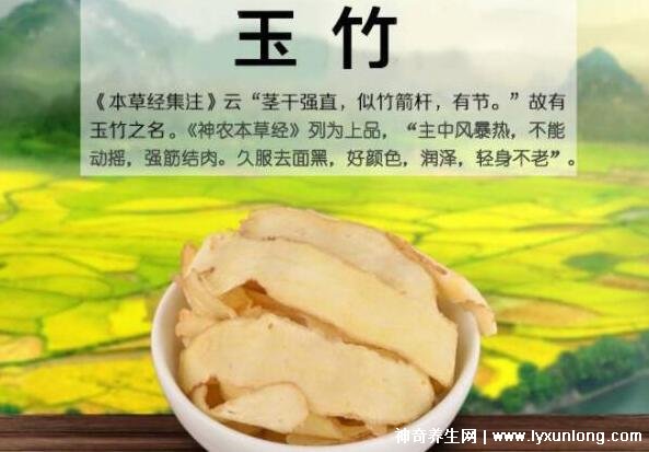 三種人不能吃玉竹,痰濕氣滯/脾虛便溏/陰虛內寒要忌口-易網<a href=http://www.aoa7937.com/ target=_blank class=infotextkey>健康養生</a>網 三種人不能吃玉竹,痰濕氣滯/脾虛便溏/陰虛內寒要忌口