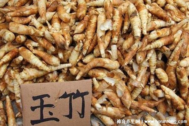 三種人不能吃玉竹,痰濕氣滯/脾虛便溏/陰虛內寒要忌口-易網健康<a href=http://www.aoa7937.com/jkys/ target=_blank class=infotextkey>養生</a>網 三種人不能吃玉竹,痰濕氣滯/脾虛便溏/陰虛內寒要忌口