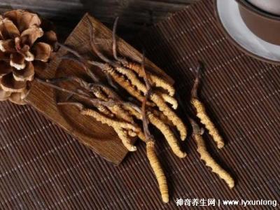 夏枯草專治十種病，甲狀腺腫/黃疸型肝炎/高血壓(功效主治)