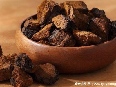 喝了4個月樺樹茸血糖升高，正確服用會降血糖(3大因素影響)