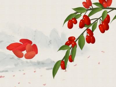 枸杞上火嗎