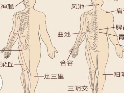 巨闕的作用