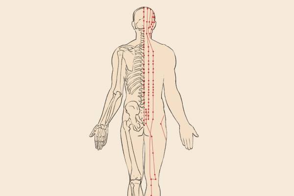 飛揚的位置與作用和功效-易網<a href=http://www.aoa7937.com/ target=_blank class=infotextkey>健康養生</a>網 飛揚的位置與作用和功效