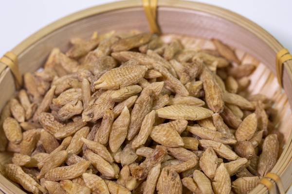 補(bǔ)腎常用的中藥有哪些