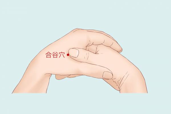 合谷穴位置-易網(wǎng)健康養(yǎng)生網(wǎng) 合谷穴位置