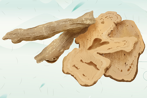 男性吃當(dāng)歸有好處嗎-易網(wǎng)<a href=http://www.aoa7937.com/ target=_blank class=infotextkey>健康養(yǎng)生</a>網(wǎng) 男性吃當(dāng)歸有好處嗎