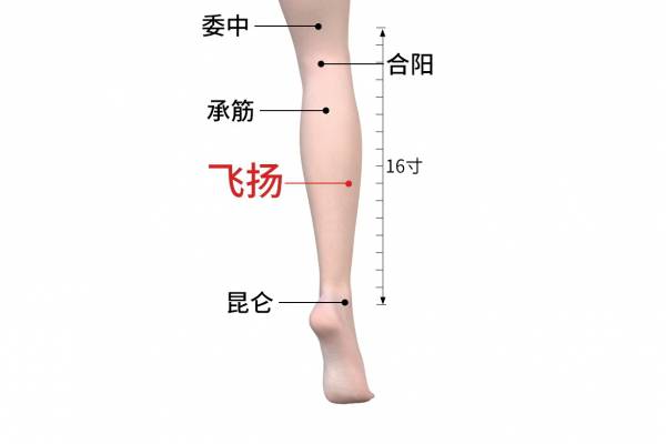 飛揚的位置與作用和功效-易網健康<a href=http://www.aoa7937.com/jkys/ target=_blank class=infotextkey>養生</a>網 飛揚的位置與作用和功效