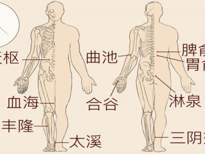 神庭的準確位置和功效