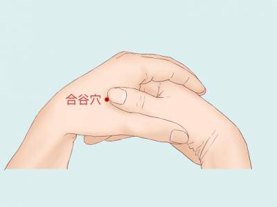 合谷穴的位置