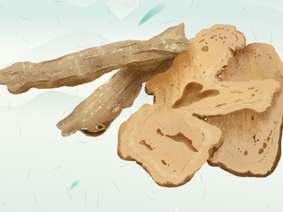 男性吃當歸有好處嗎