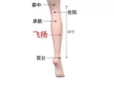 飛揚的位置與作用和功效
