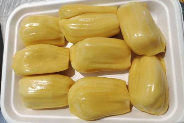 菠蘿蜜剝開過夜了還能吃嗎 判斷菠蘿蜜是否可繼續食用