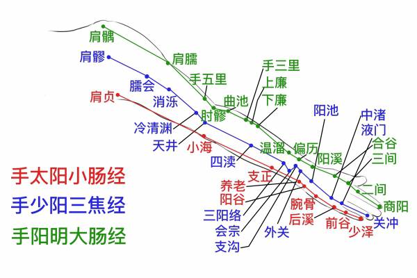 人身上有多少個穴位 人體身上有多少條經絡-易網<a href=http://www.aoa7937.com/ target=_blank class=infotextkey>健康養生</a>網 人身上有多少個穴位 人體身上有多少條經絡