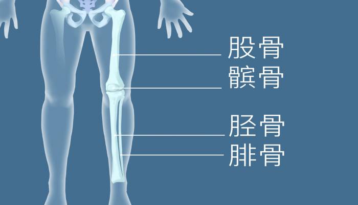 大腿外側(cè)有什么穴位 右大腿外側(cè)麻木怎么回事