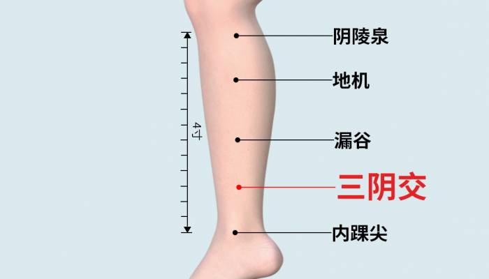 三陰交穴位在哪里 刺激三陰交穴位有哪些好處-易網健康<a href=http://www.aoa7937.com/jkys/ target=_blank class=infotextkey>養生</a>網 三陰交穴位在哪里 刺激三陰交穴位有哪些好處