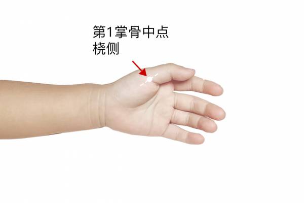 腹部按摩大魚際的好處 按摩大魚際對心臟有好處嗎-易網(wǎng)<a href=http://www.aoa7937.com/ target=_blank class=infotextkey>健康養(yǎng)生</a>網(wǎng) 腹部按摩大魚際的好處 按摩大魚際對心臟有好處嗎