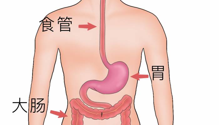 消化不良按什么穴位 胃不消化按摩哪里-易網<a href=http://www.aoa7937.com/ target=_blank class=infotextkey>健康養生</a>網 消化不良按什么穴位 胃不消化按摩哪里