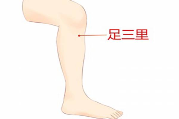 脾胃不好按摩哪個穴位 脾胃虛弱怎么調理-易網健康<a href=http://www.aoa7937.com/jkys/ target=_blank class=infotextkey>養生</a>網 脾胃不好按摩哪個穴位 脾胃虛弱怎么調理