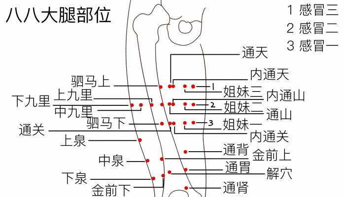 大腿根部是什么穴位 按摩大腿根部的好處-易網健康養生網 大腿根部是什么穴位 按摩大腿根部的好處