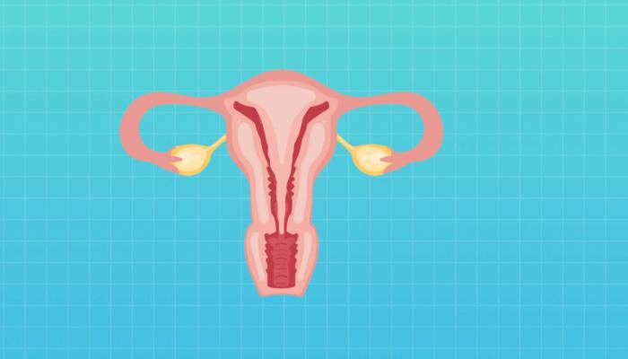 復方清帶灌注液怎么用