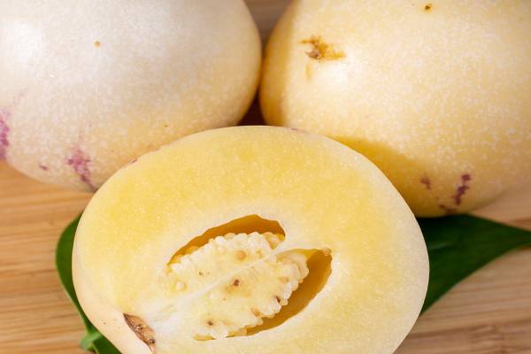 人參果的功效與作用 吃人參果的注意事項-易網健康<a href=http://www.aoa7937.com/jkys/ target=_blank class=infotextkey>養生</a>網 人參果的功效與作用 吃人參果的注意事項