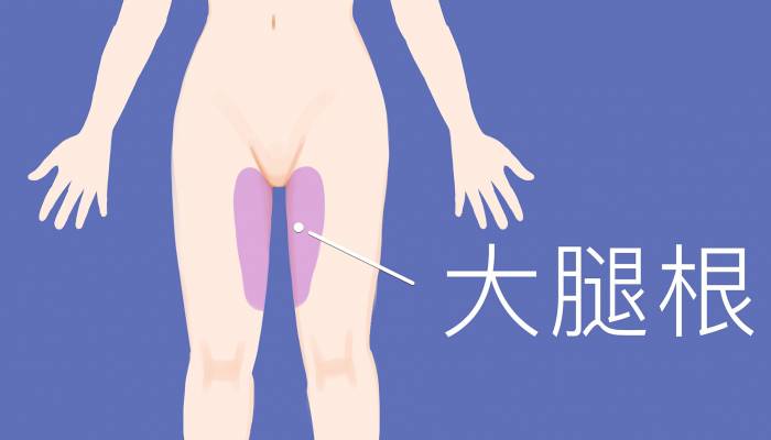 大腿根部是什么穴位 按摩大腿根部的好處-易網<a href=http://www.aoa7937.com/ target=_blank class=infotextkey>健康養生</a>網 大腿根部是什么穴位 按摩大腿根部的好處