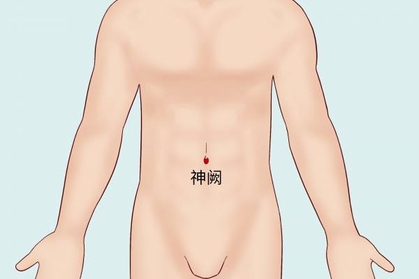 肚臍眼是什么穴位 什么是神闕穴-易網健康<a href=http://www.aoa7937.com/jkys/ target=_blank class=infotextkey>養生</a>網 肚臍眼是什么穴位 什么是神闕穴