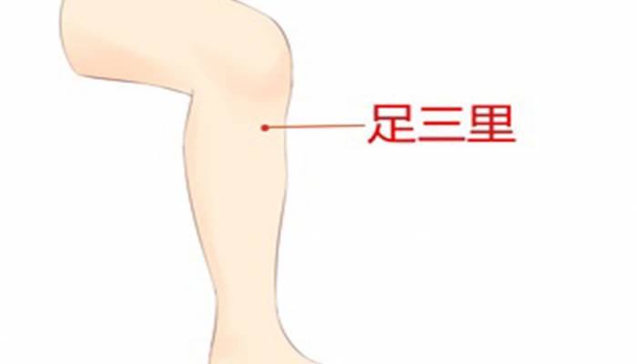 足三里穴位在哪里 足三里穴作用和功效是什么-易網健康<a href=http://www.aoa7937.com/jkys/ target=_blank class=infotextkey>養生</a>網 足三里穴位在哪里 足三里穴作用和功效是什么