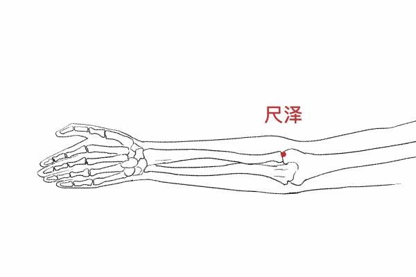 按摩尺澤穴的好處 如何找尺澤穴的準確位置