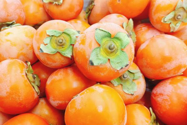 柿子和蝦能一起吃嗎 柿子和蝦的禁忌人群