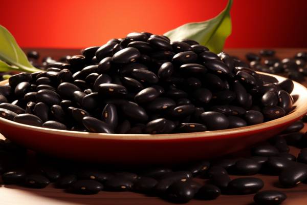 吃黑豆對人體有什么好處 吃黑豆需要注意什么-易網健康<a href=http://www.aoa7937.com/jkys/ target=_blank class=infotextkey>養生</a>網 吃黑豆對人體有什么好處 吃黑豆需要注意什么