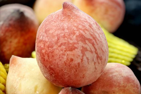 桃子吃多了會上火嗎 吃桃子的好處和注意事項