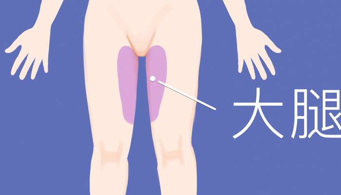 大腿內側是什么穴位 大腿內側是啥經絡