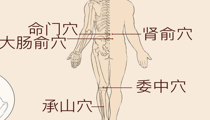 腰疼艾灸哪個穴位 腰疼艾灸的注意事項有哪些