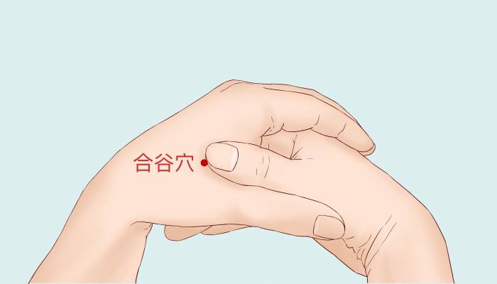 鼻子不通按什么穴位 鼻子不通氣按摩哪里有用