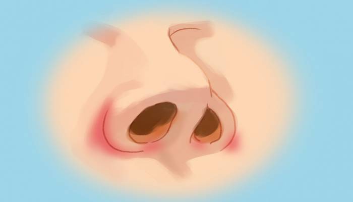 鼻子兩側是什么穴位 鼻子兩側的部位叫什么-易網健康<a href=http://www.aoa7937.com/jkys/ target=_blank class=infotextkey>養生</a>網 鼻子兩側是什么穴位 鼻子兩側的部位叫什么