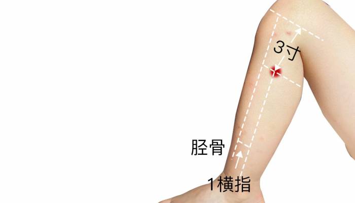 足三里穴位在哪里 足三里穴作用和功效是什么-易網<a href=http://www.aoa7937.com/ target=_blank class=infotextkey>健康養生</a>網 足三里穴位在哪里 足三里穴作用和功效是什么